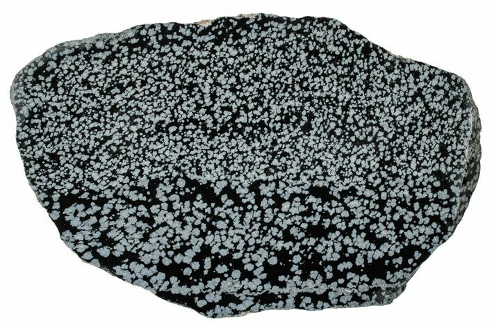 Polished Snowflake Obsidian Slab - Wyoming #336978